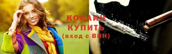 сатива Новокубанск