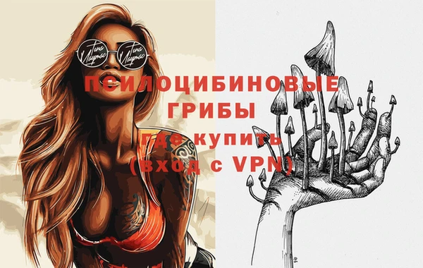 сатива Новокубанск