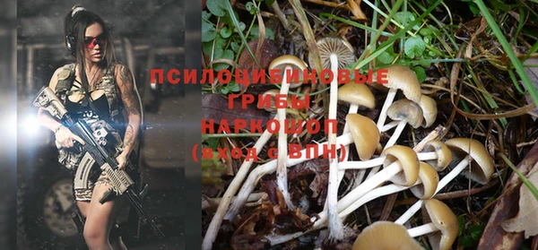 бутират Новодвинск