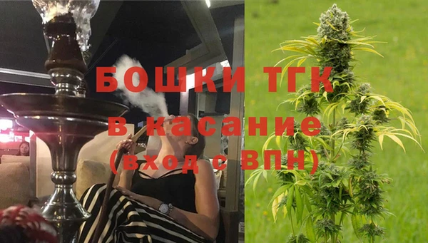 мяу мяу мука Новозыбков