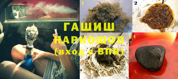 сатива Новокубанск