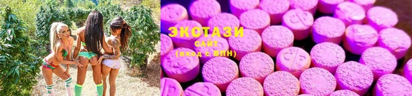 мяу мяу мука Новозыбков