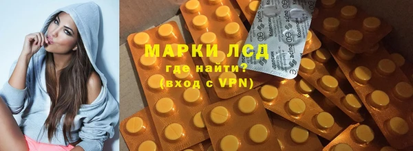 сатива Новокубанск