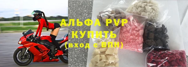 сатива Новокубанск