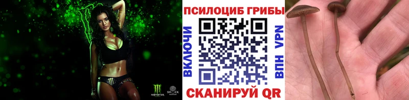 Галлюциногенные грибы мухоморы  Цимлянск 